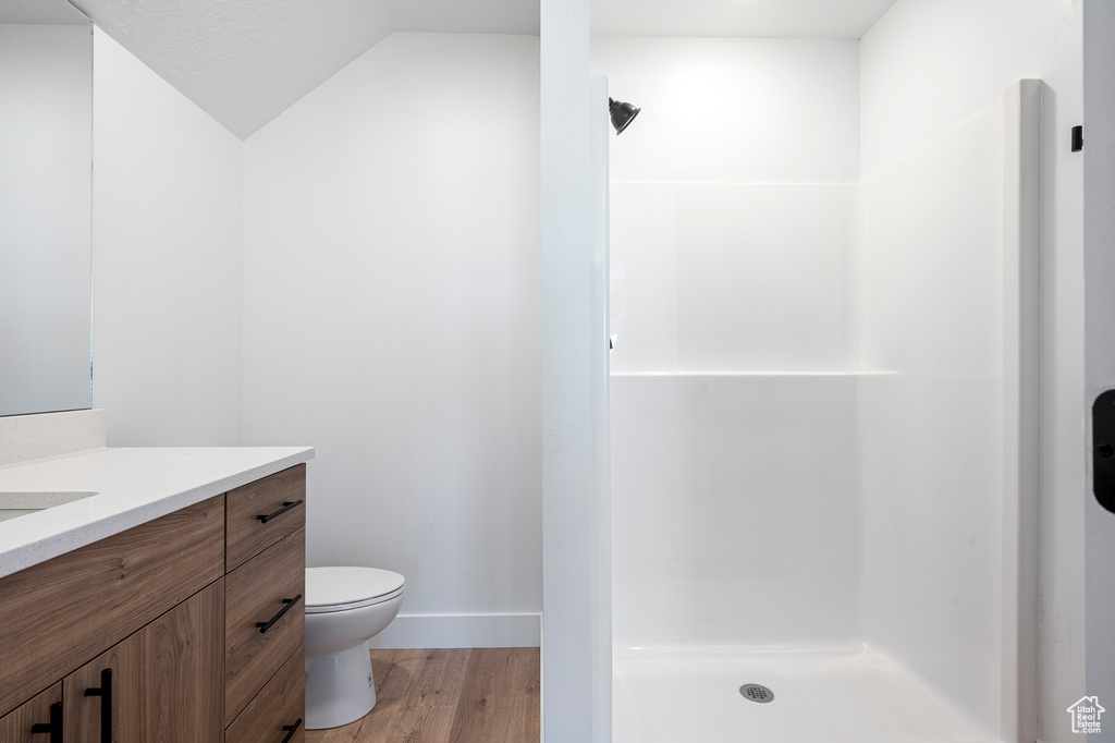 Bathroom with a shower, vanity, hardwood / wood-style floors, and toilet