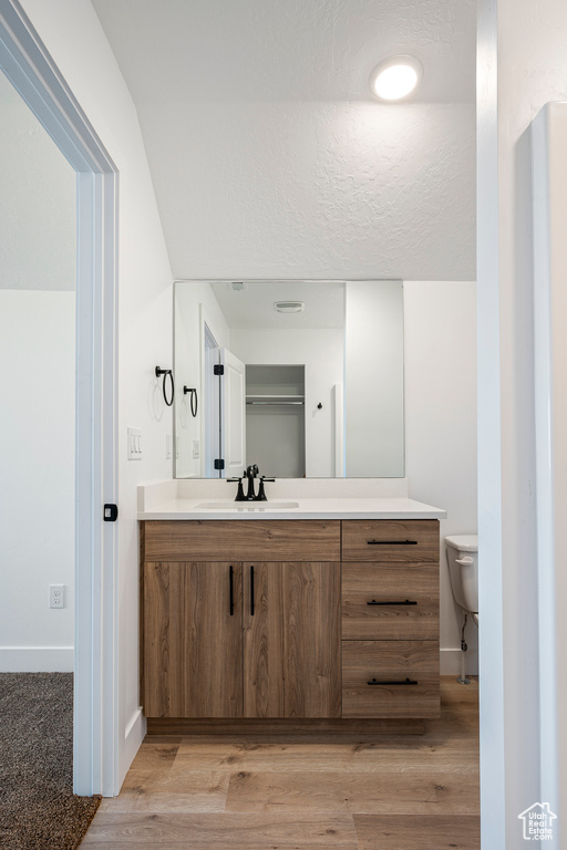 Bathroom featuring toilet, vanity, and wood-type flooring