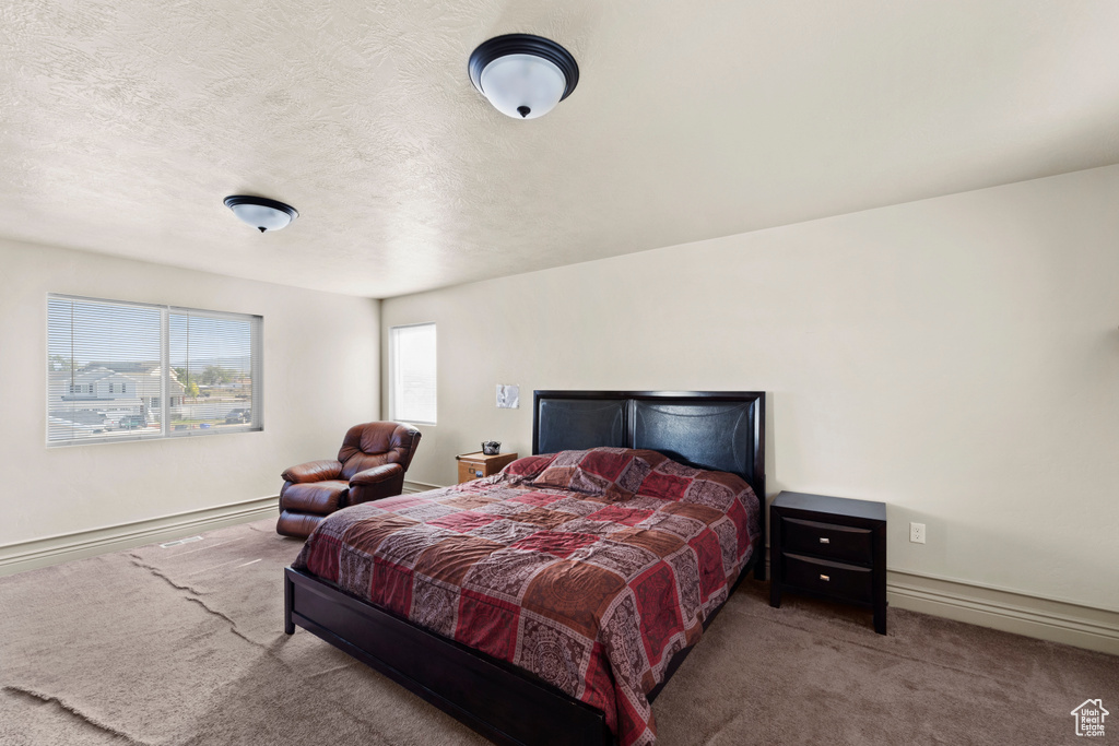 Carpeted bedroom with a textured ceiling