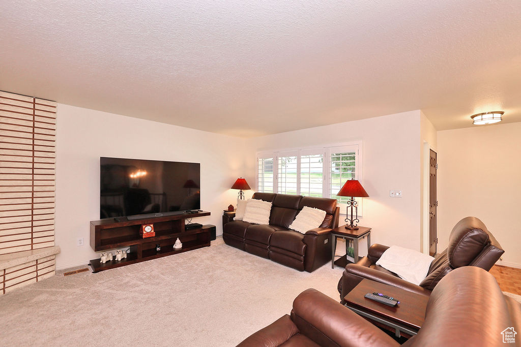 Carpeted living room featuring a textured ceiling