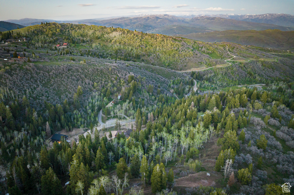 Drone / aerial view featuring a mountain view