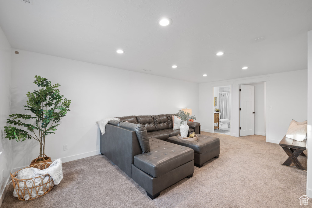 Living room featuring carpet