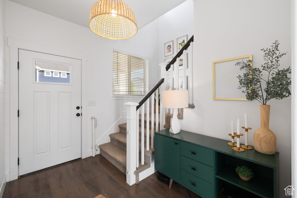 Foyer with dark hardwood / wood-style floors