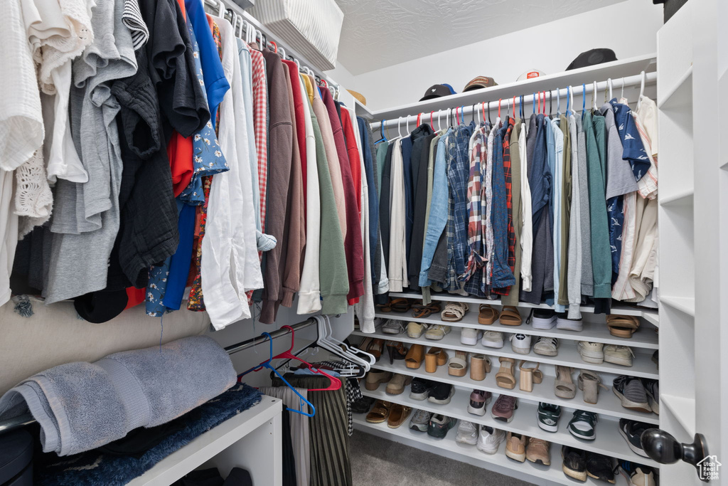 Walk in closet with carpet flooring