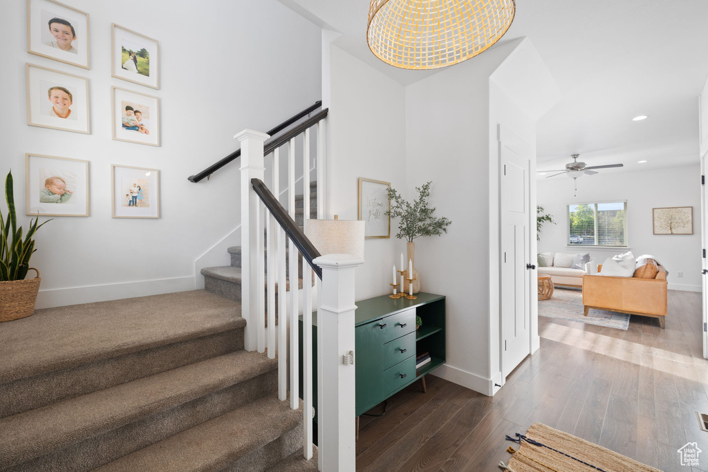 Stairway featuring ceiling fan and dark carpet