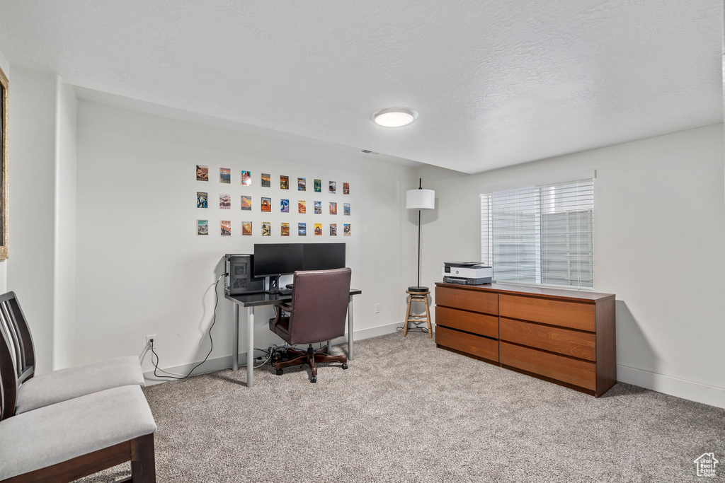 Office space featuring carpet and a textured ceiling