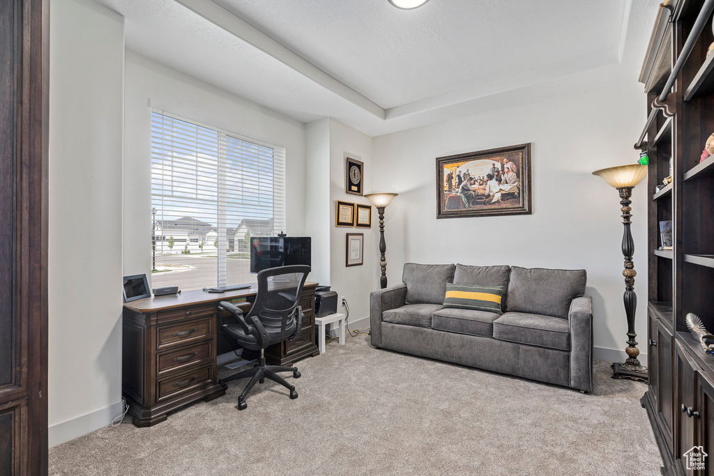 Home office featuring light carpet and a tray ceiling