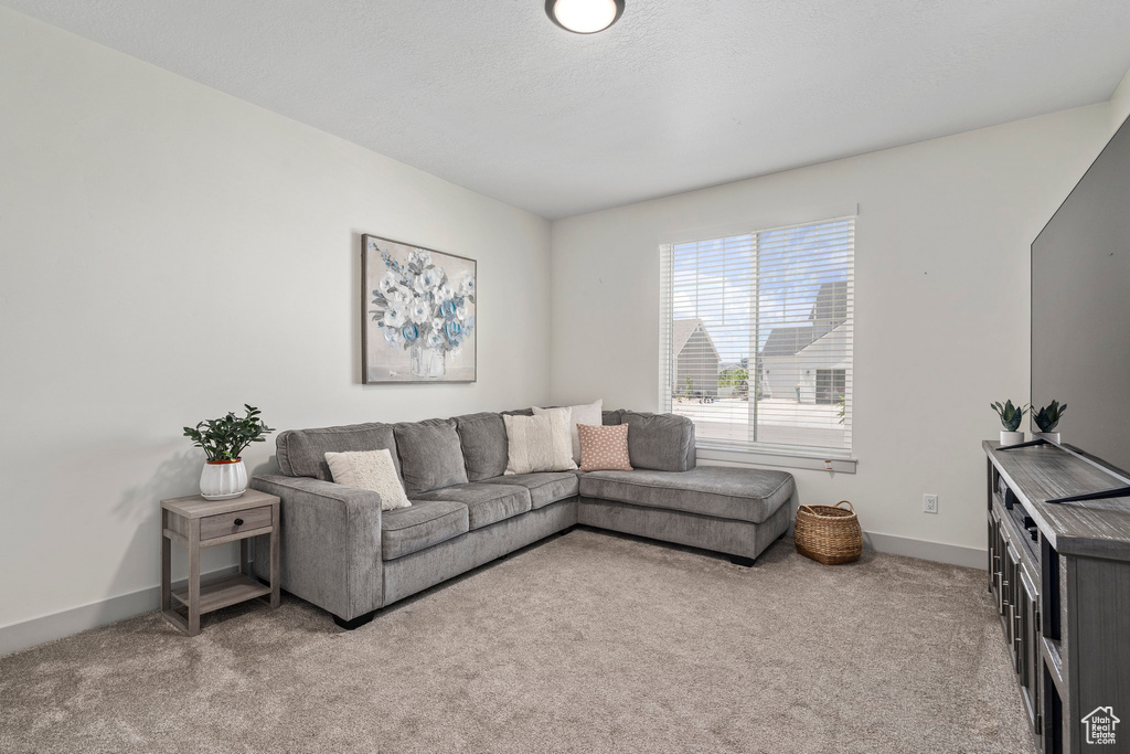 View of carpeted living room