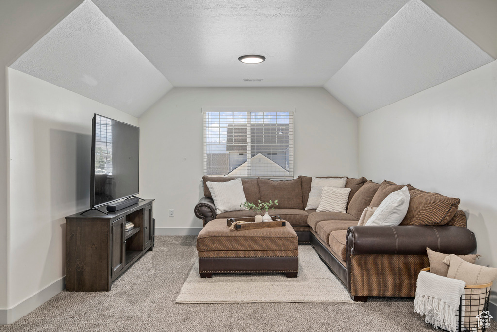 Carpeted living room with vaulted ceiling and a textured ceiling