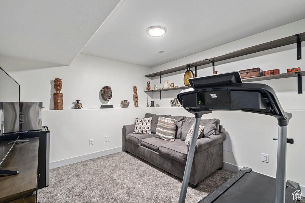 Workout area with carpet floors