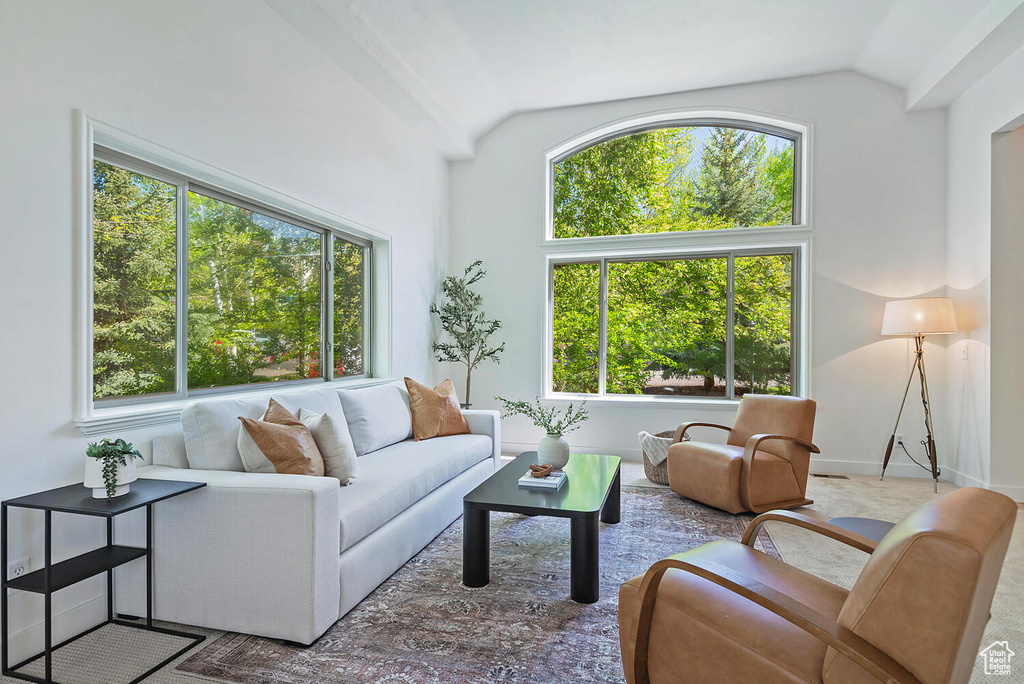 Living room with plenty of natural light and vaulted ceiling