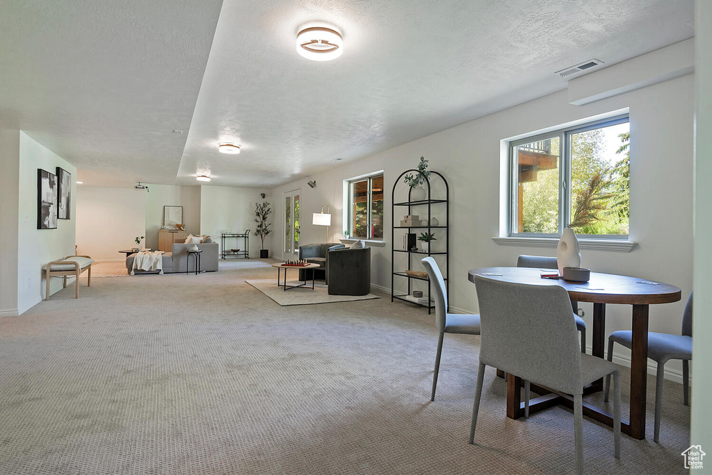 Carpeted dining room featuring a textured ceiling