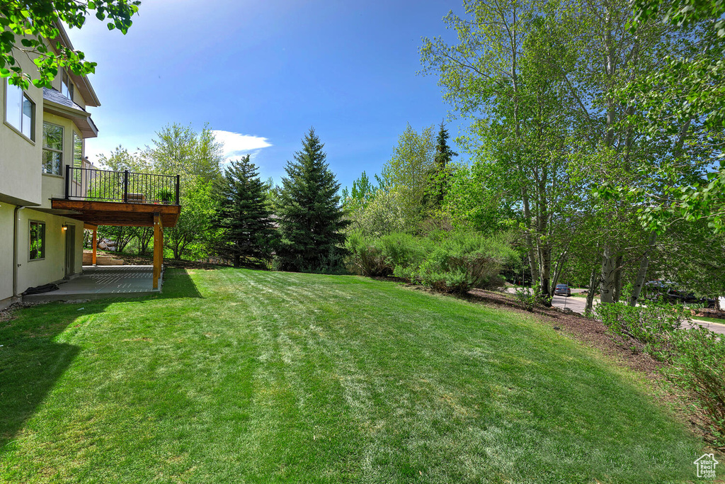 View of yard with a patio and a deck