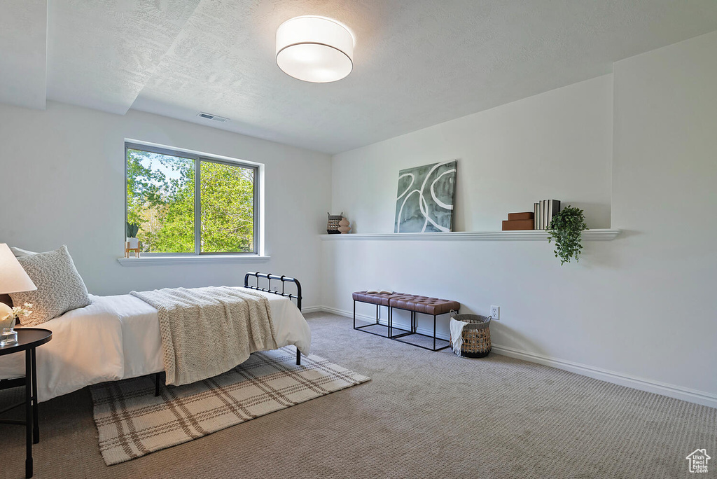 Bedroom with carpet floors