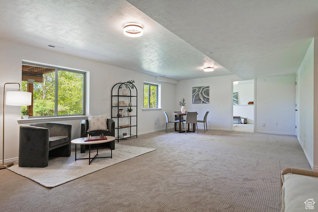 Sitting room featuring a textured ceiling and carpet