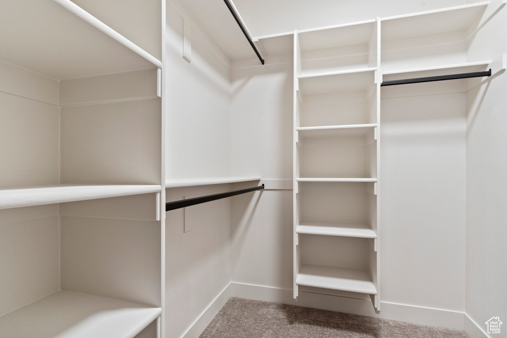 Walk in closet with carpet flooring