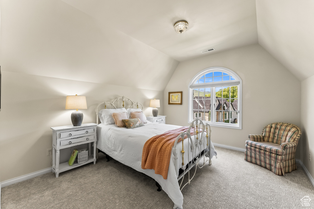 Carpeted bedroom featuring lofted ceiling