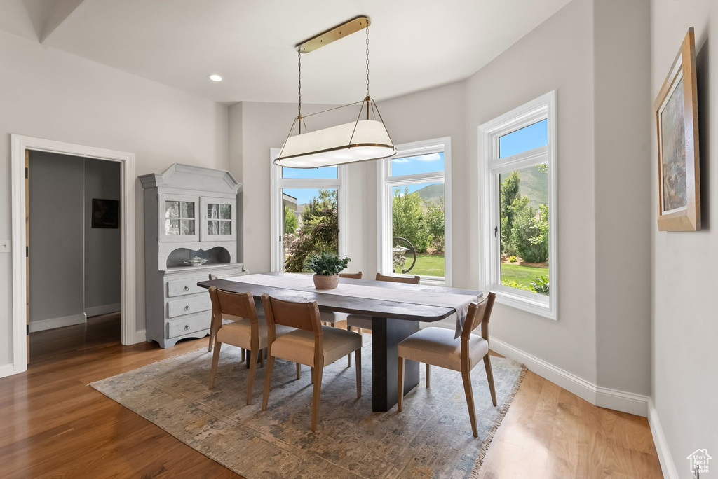 Dining space with hardwood / wood-style floors