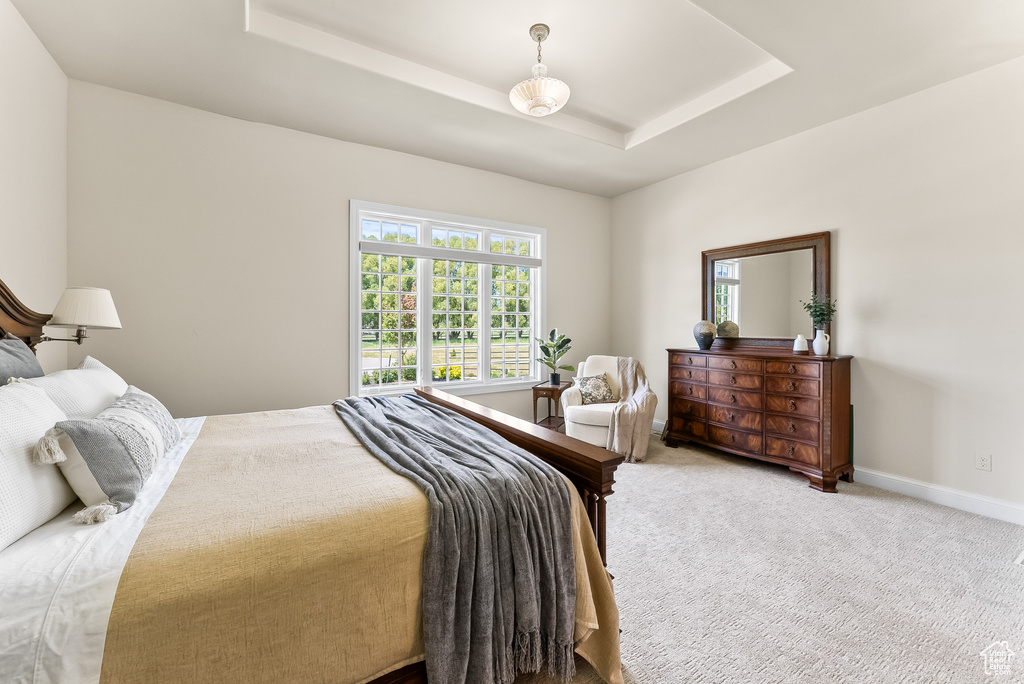 Carpeted bedroom with a tray ceiling