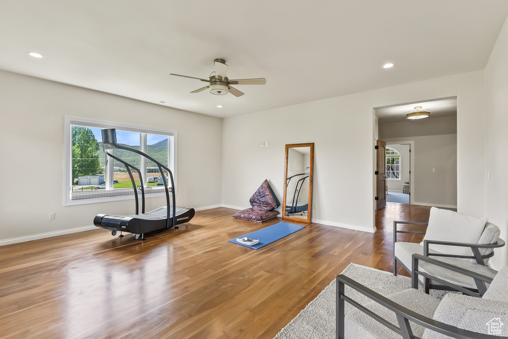 Exercise area featuring ceiling fan and wood-type flooring