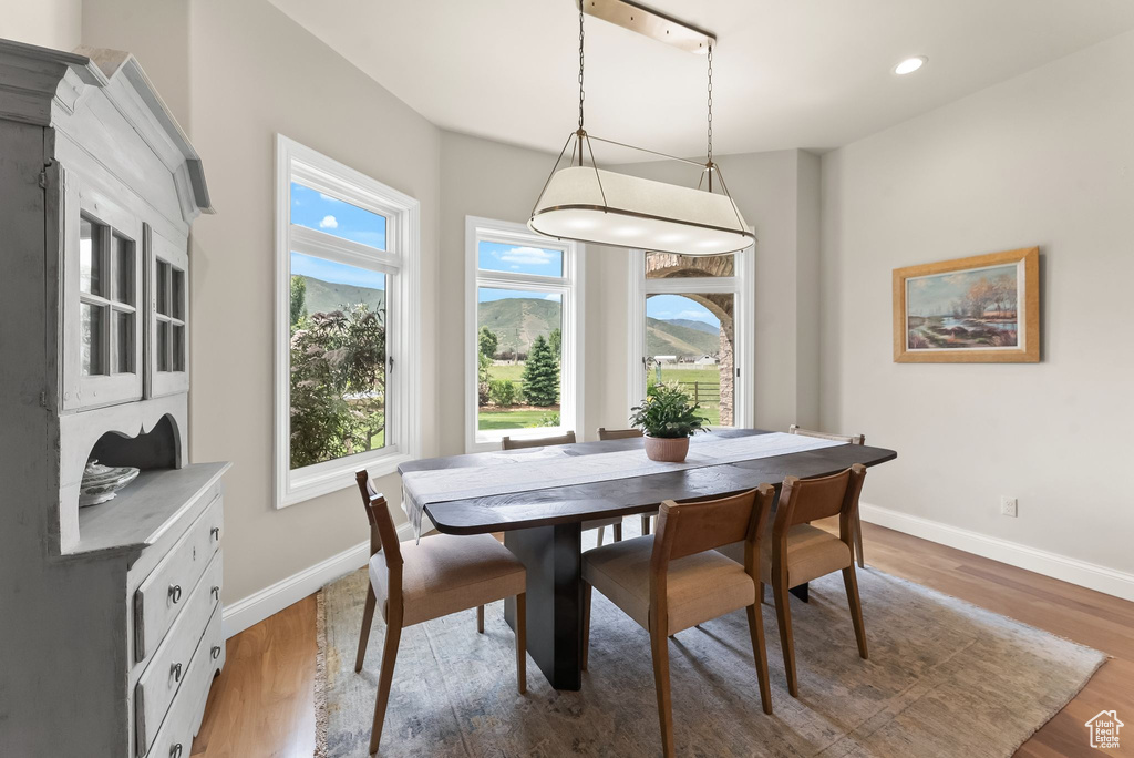 Dining space featuring wood-type flooring