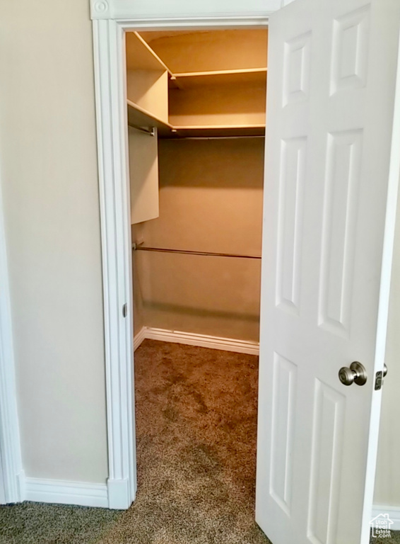 Walk in closet with carpet floors