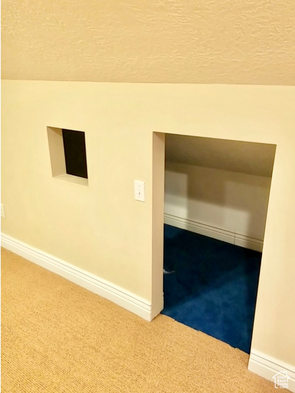 Carpeted spare room with a textured ceiling