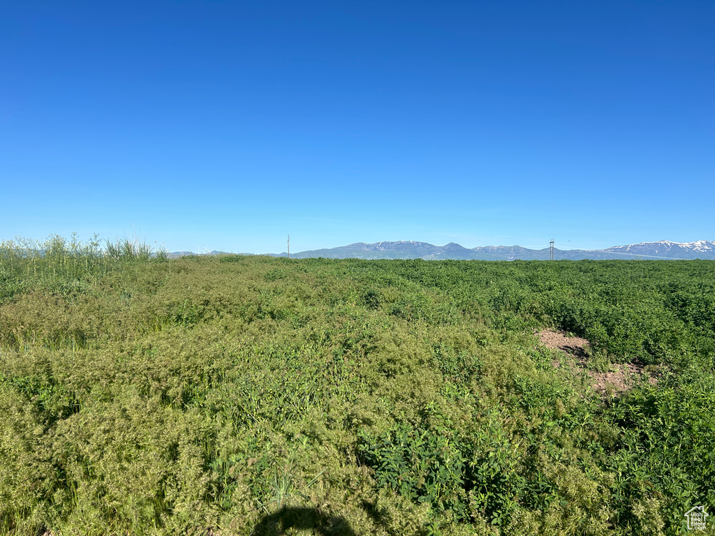 2156 N 2200 E Preston, ID 83263