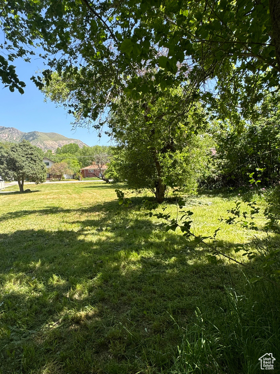 View of yard with a mountain view