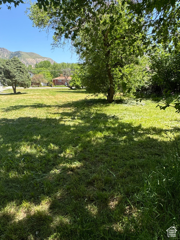 View of yard featuring a mountain view