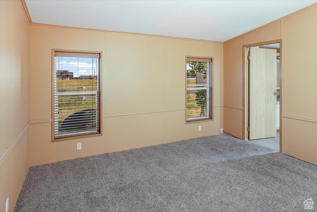 Unfurnished room featuring ornamental molding, carpet, and lofted ceiling