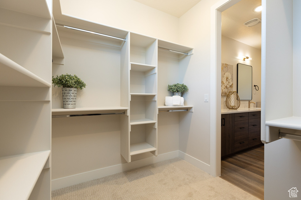 Spacious closet featuring light carpet