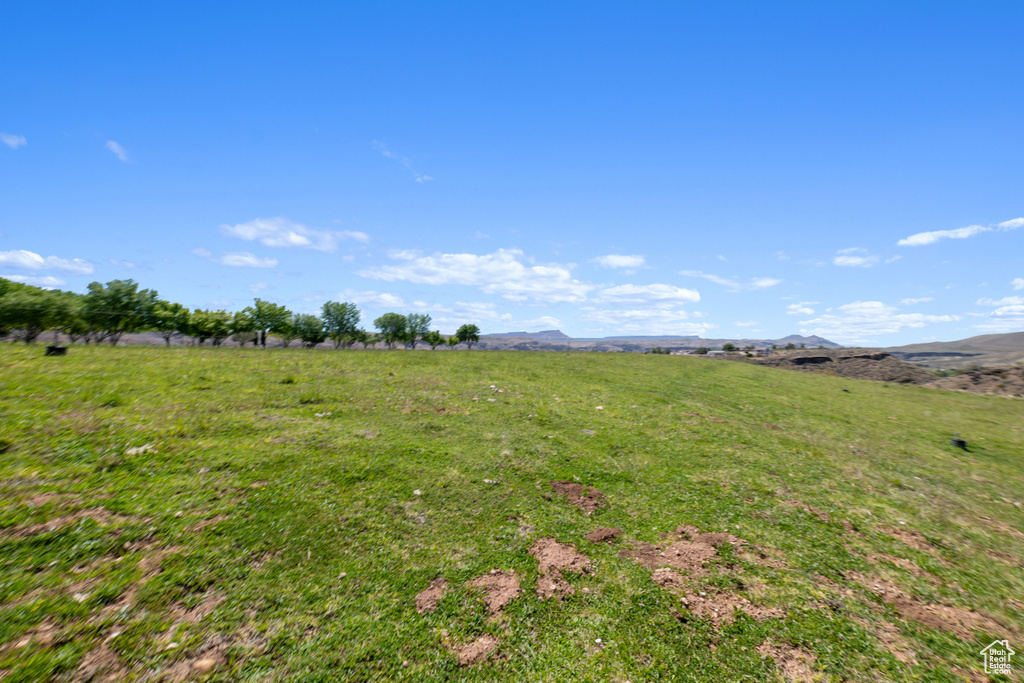 View of yard with a rural view