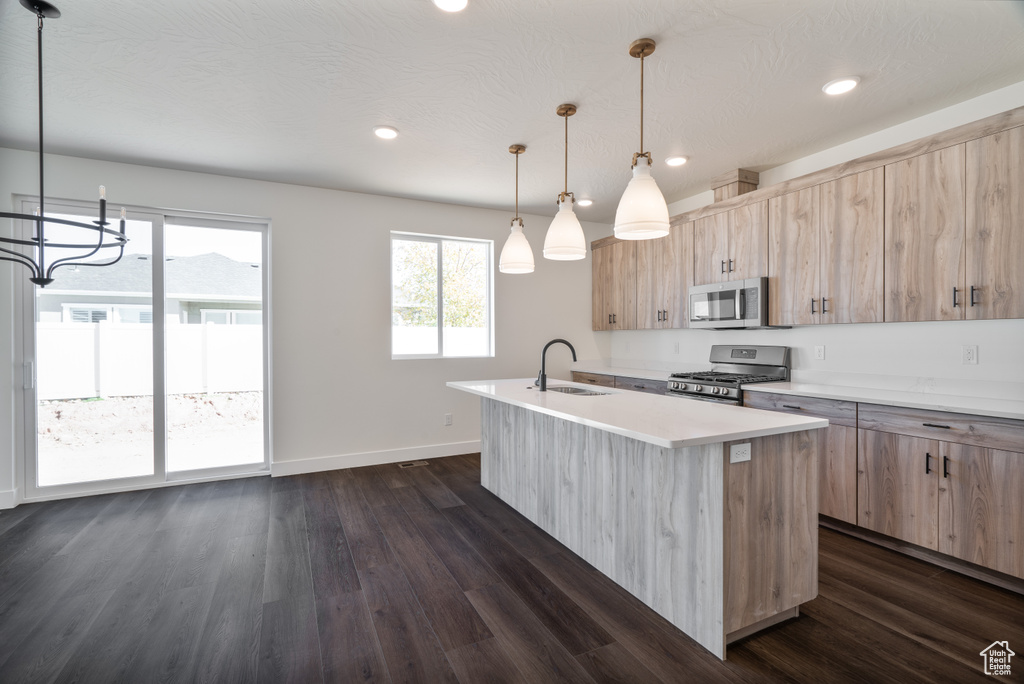 Kitchen featuring dark hardwood / wood-style floors, stainless steel appliances, sink, and an island with sink