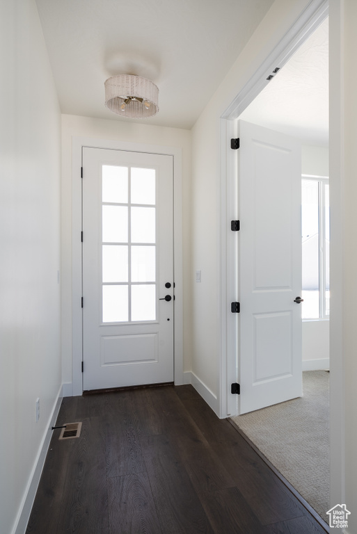 Entryway with dark hardwood / wood-style flooring