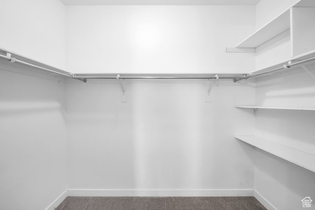 Spacious closet featuring carpet