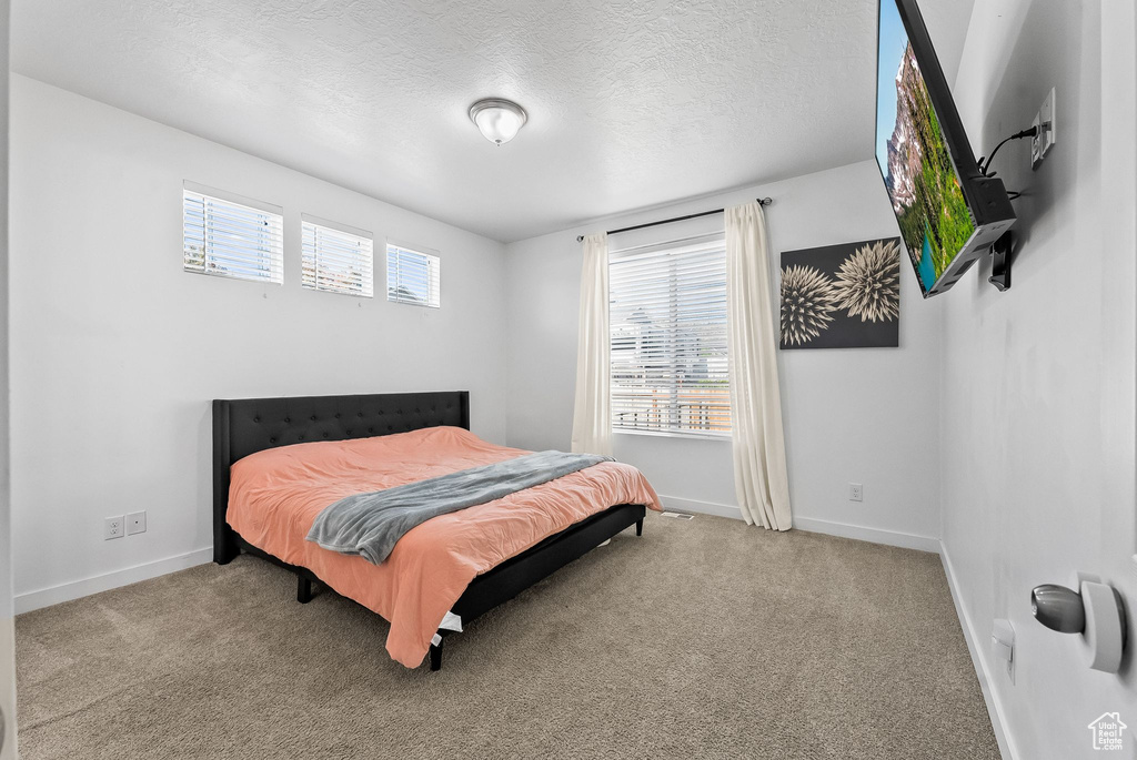 Bedroom featuring a textured ceiling, carpet, and multiple windows