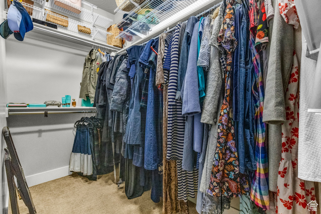 Spacious closet with carpet