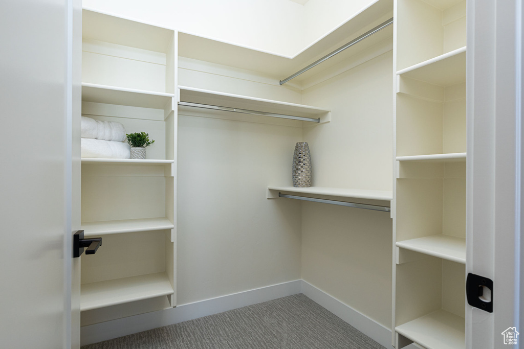 Walk in closet featuring carpet flooring