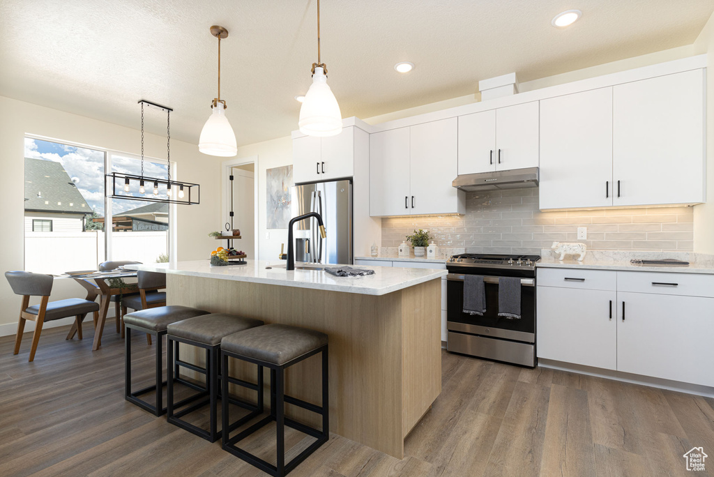 Kitchen with dark wood-type flooring, an island with sink, and stainless steel appliances