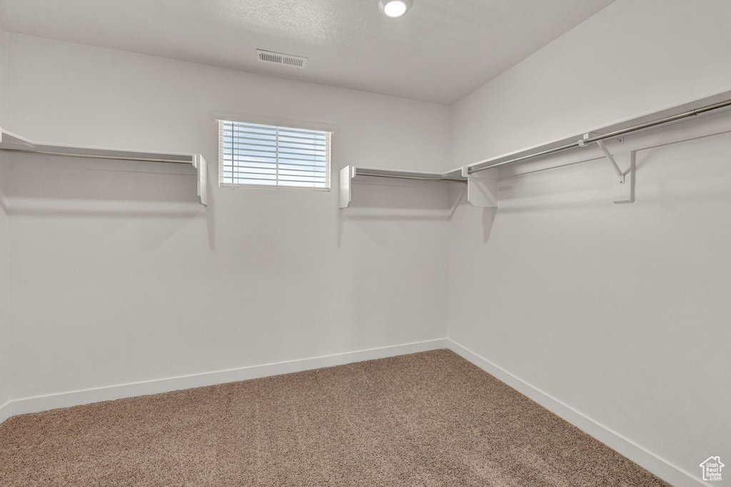 Walk in closet featuring carpet floors