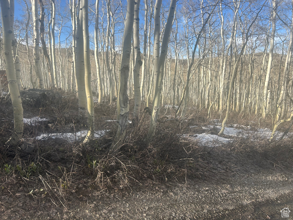 2496 W MARS WAY Midway, UT 84049