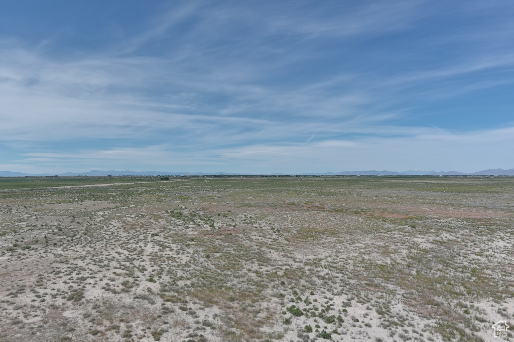 View of local wilderness with a rural view