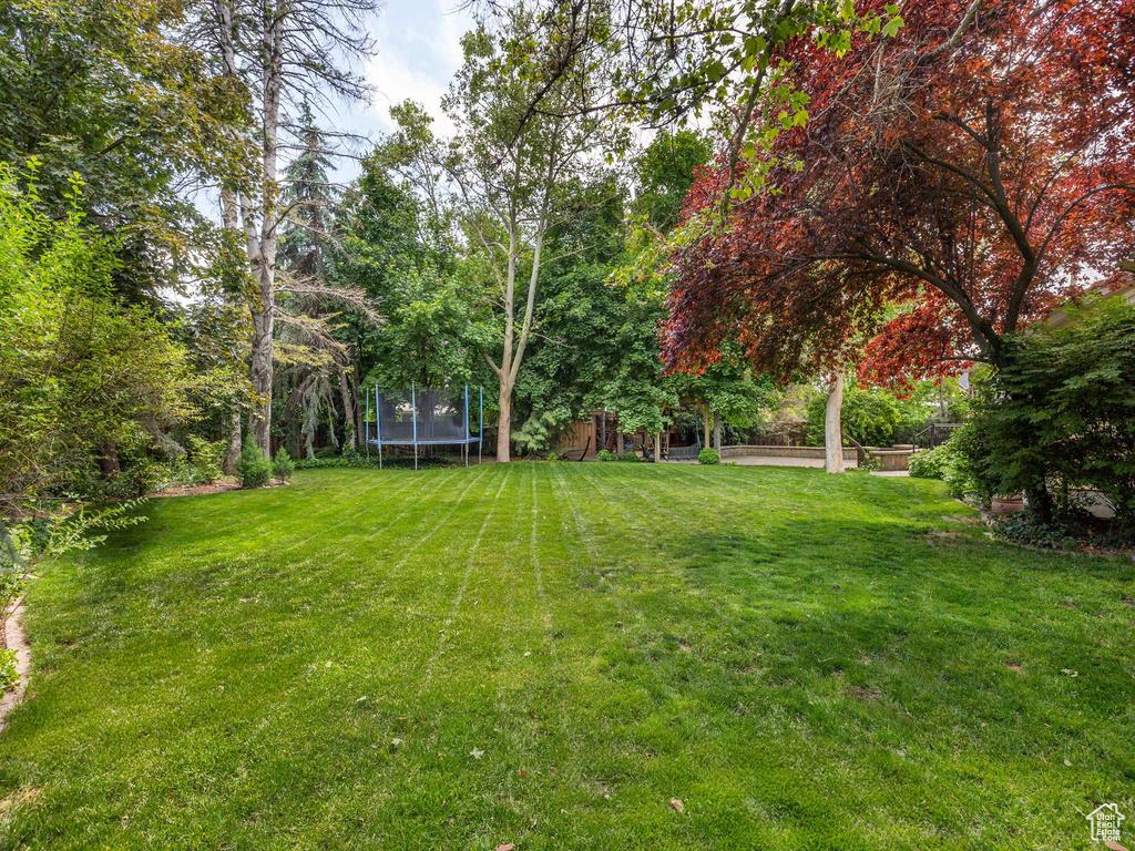 View of yard with a trampoline