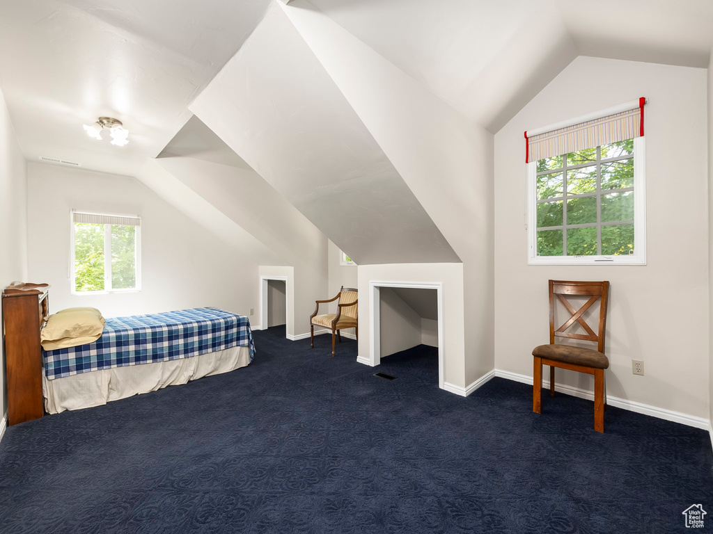 Bedroom with dark colored carpet and lofted ceiling