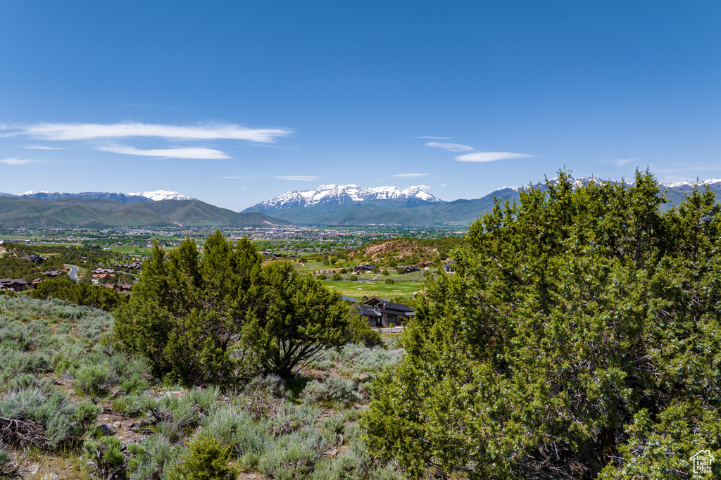 View of property view of mountains