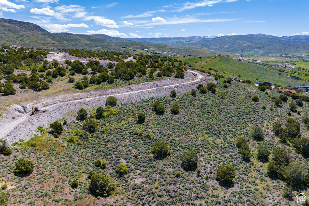 Birds eye view of property featuring a mountain view