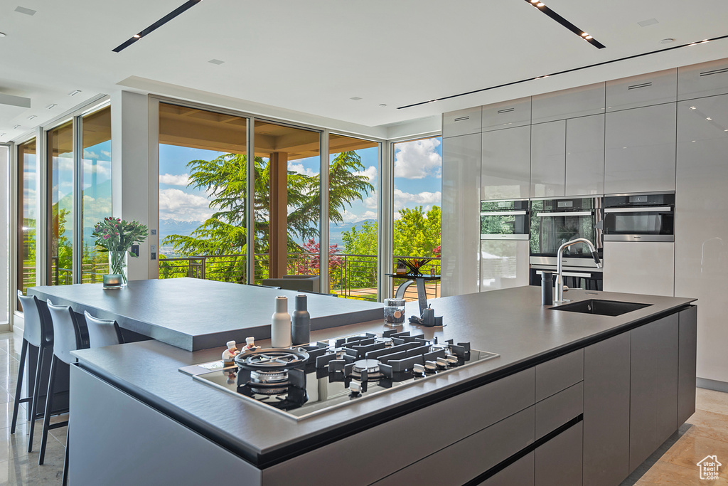 Kitchen featuring stainless steel appliances, a healthy amount of sunlight, a kitchen island with sink, and sink