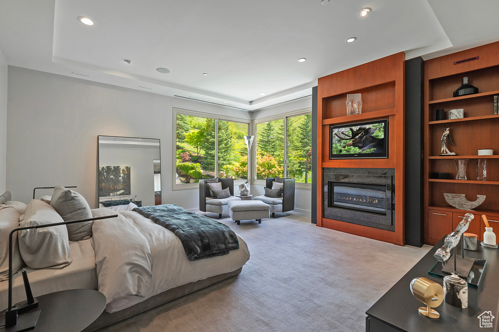 Carpeted bedroom featuring a tray ceiling