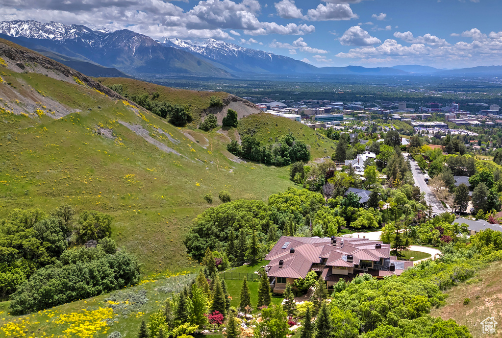 Aerial view with a mountain view